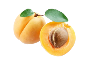 Apricot PNG-12650